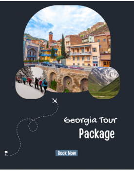 Georgia Tour