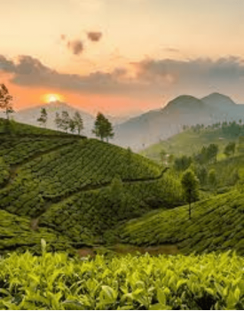 Thekkady Hill Station