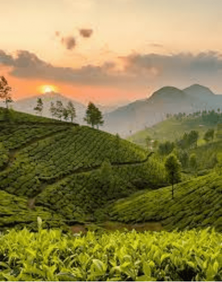 Thekkady Hill Station